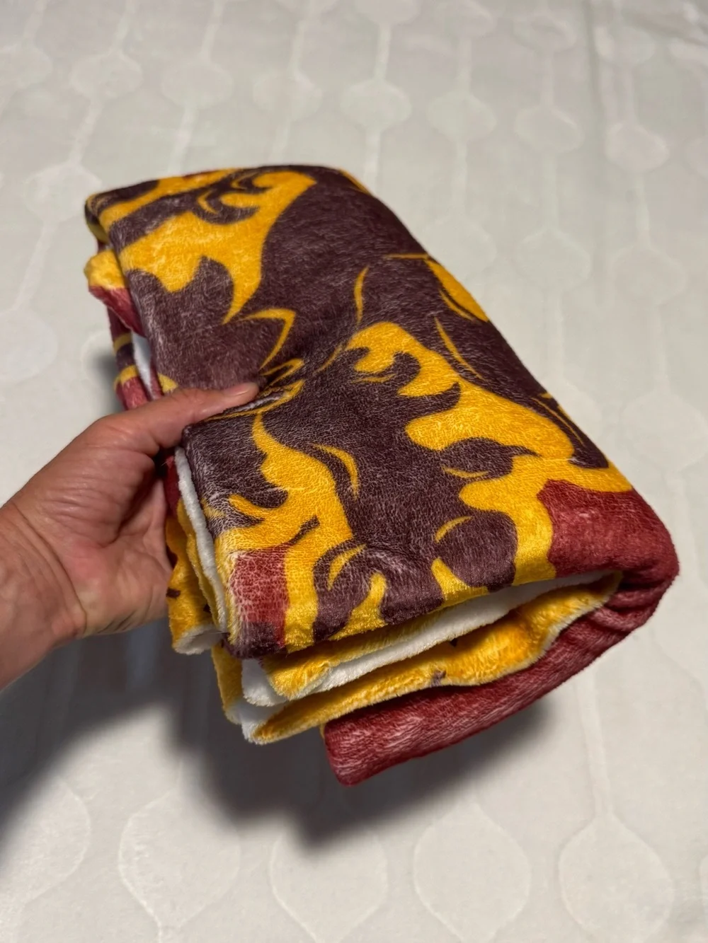 Harry Potter Blanket Gryffindor Silky Touch Super Soft Throw Blanket